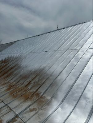 Image showing  5 gal. Oil-Based Aluminum Roof Paint