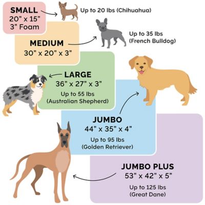 Image showing  Quilted Orthopedic Sofa Dog Bed