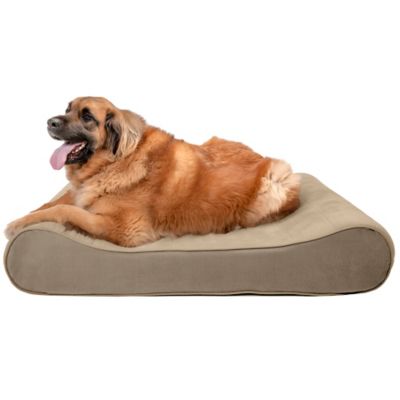 dog therapeutic beds