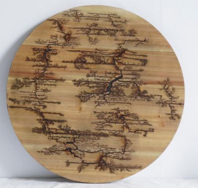 Slice of Akron Round Lichtenburg Wood Burning Wall Art, 18 in. x 18 in.