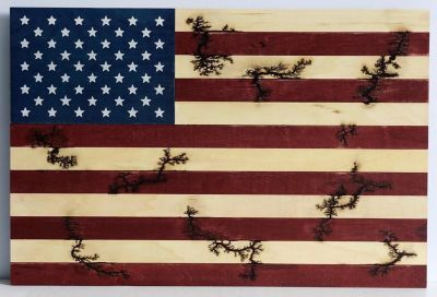 Slice of Akron American Flag Burned-Wood Wall Decor, 24 in. x 1.25 in. x 36 in., Red/Blue