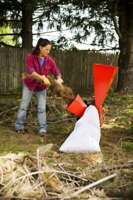 Image showing  3 in. Diameter 208cc Gas Premier 300 Chipper Shredder