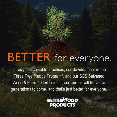 Image showing 6 th Fatwood Firestarter