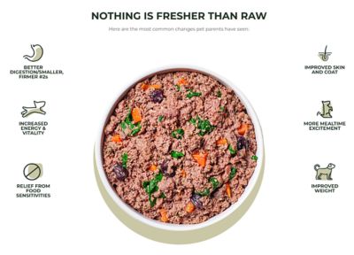 Image showing  Limited Ingredient Diet Adult Grain-Free Lamb Recipe Dry Dog Food, 20 lb. Bag