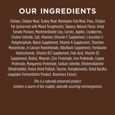 Image showing 7 th Instinct Original Chicken Dry Cat Food 11 lb. Bag