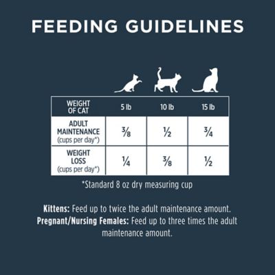 Image showing 9 th Instinct Raw Boost Cat Chicken Dry Cat Food 10 lb. Bag