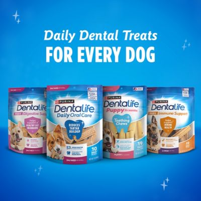 Image showing 8 th Purina DentaLife 7.8 oz. Purina DentaLife Dog Treat