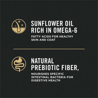 Image showing  High Protein Sensitive Skin & Sensitive Stomach Lamb & Oat Meal Formula Dry Dog Food