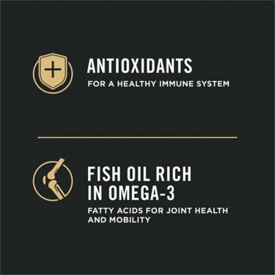 Image showing  High Protein Sensitive Skin & Sensitive Stomach Lamb & Oat Meal Formula Dry Dog Food