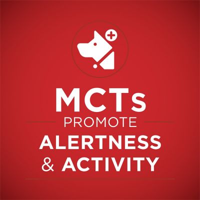 Image showing  +Plus Classic Ground Vibrant Maturity Adult 7+ Turkey and Barley Entree Wet Dog Food, 13 oz.