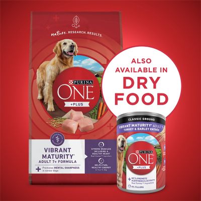 Image showing 7 th Purina ONE +Plus Classic Ground Vibrant Maturity Adult 7+ Turkey and Barley Entree Wet Dog Food, 13 oz.