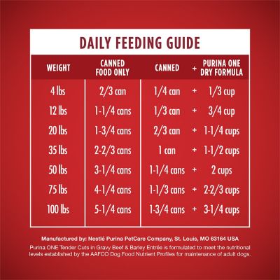 Image showing 5 th Purina ONE Tender Cuts in Gravy Beef and Barley Entre Wet Dog Food, 13 oz.