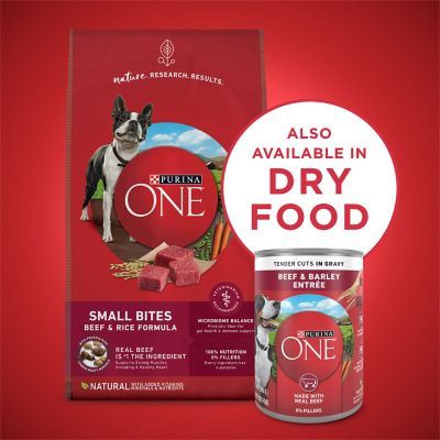 Image showing 7 th Purina ONE Tender Cuts in Gravy Beef and Barley Entre Wet Dog Food, 13 oz.