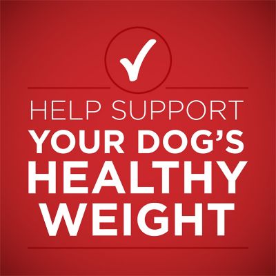 Image showing  +Plus Tender Cuts in Gravy Healthy Weight Lamb and Brown Rice Entree Wet Dog Food, 13 oz.