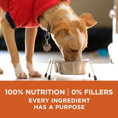 Image showing 7 th Purina ONE SmartBlend Healthy Weight Turkey Formula Dry Dog Food