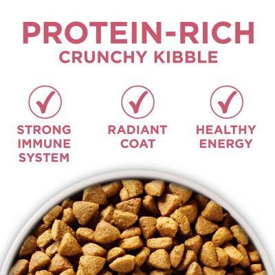 Image showing  Plus Skin and Coat Formula Natural Dry Dog Food