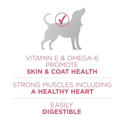 Image showing  Plus Skin and Coat Formula Natural Dry Dog Food