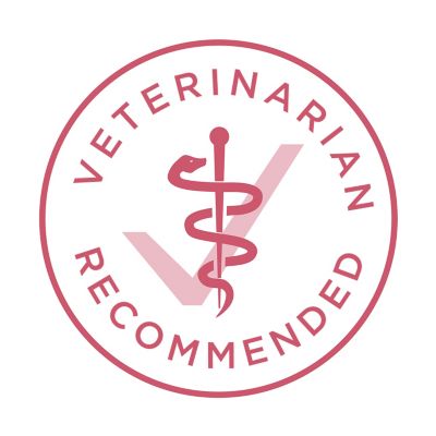 Image showing 7 th Purina ONE Plus Skin and Coat Formula Natural Dry Dog Food