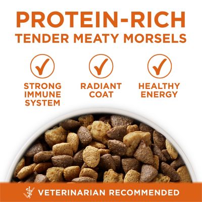 Image showing  Plus Healthy Weight High-Protein Dog Food Dry Formula