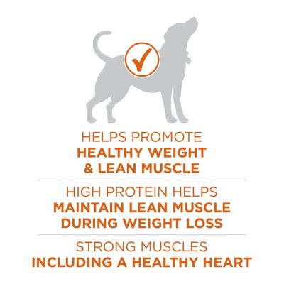 Image showing  Plus Healthy Weight High-Protein Dog Food Dry Formula