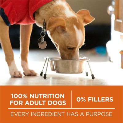 Image showing 6 th Purina ONE Plus Healthy Weight High-Protein Dog Food Dry Formula