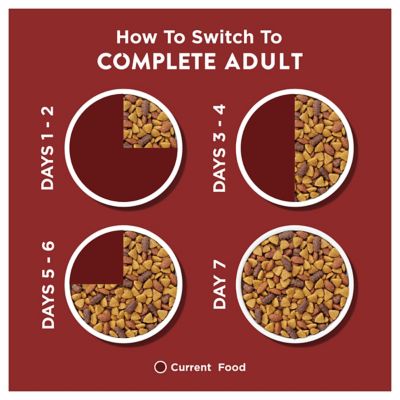 Image showing 8 th Purina Dog Chow Complete Adult Beef Formula Dry Dog Food