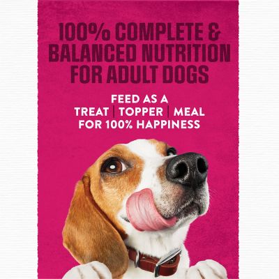 Image showing  Adult Beef Chunks Wet Dog Food, 6 oz. Pouch, Pack of 36