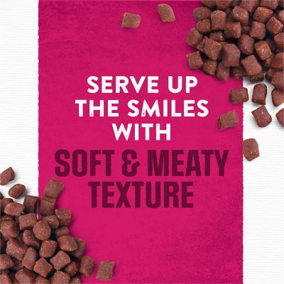 Image showing 5 th Purina Moist & Meaty Adult Beef Chunks Wet Dog Food, 6 oz. Pouch, Pack of 36