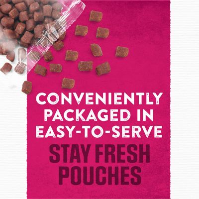 Image showing 6 th Purina Moist & Meaty Adult Beef Chunks Wet Dog Food, 6 oz. Pouch, Pack of 36