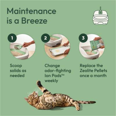 Image showing 5 th Purina Tidy Cats Breeze Cat Pads