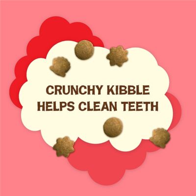 Image showing  Party Mix Natural Yums With Real Salmon Cat Treats, 2.1 oz.