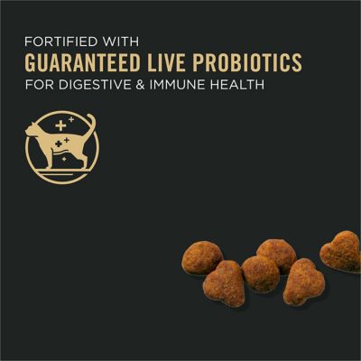 Image showing  Prime Plus Chicken & Rice Formula Senior Dry Cat Food