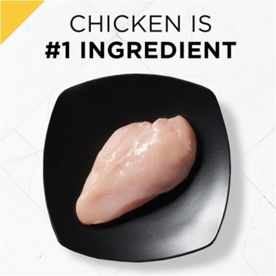 Image showing 5 th Purina Pro Plan Prime Plus Chicken & Rice Formula Senior Dry Cat Food