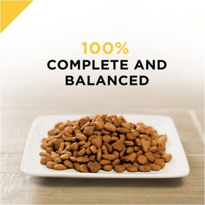 Image showing 6 th Purina Pro Plan Prime Plus Chicken & Rice Formula Senior Dry Cat Food