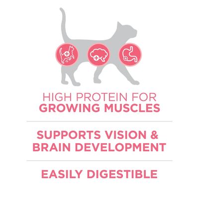 Image showing  Healthy Kitten Formula, 16 lb. Bag