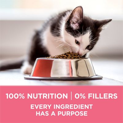 Image showing 6 th Purina ONE Healthy Kitten +Plus Indoor/Outdoor High-Protein Dry Cat Food