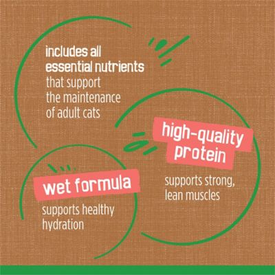 Image showing 5 th Purina Friskies Indoor Cat Food Chunky Chicken and Turkey Casserole With Garden Greens in Gravy, 5.5 oz.