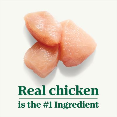 Image showing  Tender Chicken, Carrot & Pea Stew 12.5oz