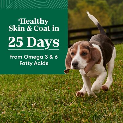 Image showing  Puppy Farm-Raised Chicken, Brown Rice & Sweet Potato Dry Dog Food