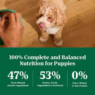 Image showing 5 th Nutro Natural Choice Puppy Farm-Raised Chicken, Brown Rice & Sweet Potato Dry Dog Food