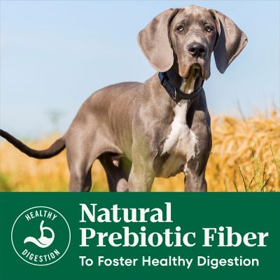 Image showing 6 th Nutro Natural Choice Puppy Farm-Raised Chicken, Brown Rice & Sweet Potato Dry Dog Food