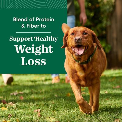 Image showing  Healthy Weight Large Breed Adult Farm-Raised Chicken, Rice & Sweet Potato Dry Dog Food