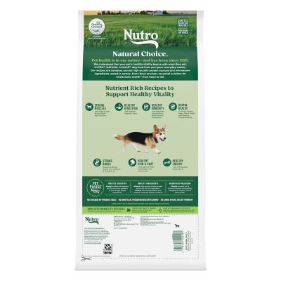 Image showing  Small Breed Senior Chicken, Whole Brown Rice and Sweet Potato Dry Dog Food