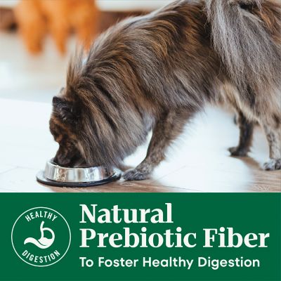 Image showing 6 th Nutro Natural Choice Small Breed Senior Chicken, Whole Brown Rice and Sweet Potato Dry Dog Food