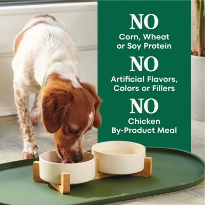 Image showing 7 th Nutro Natural Choice Small Breed Senior Chicken, Whole Brown Rice and Sweet Potato Dry Dog Food