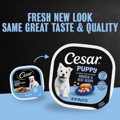Image showing 5 th Cesar Puppy Chicken and Beef Classic Loaf in Sauce Wet Dog Foo, 3.5 oz.