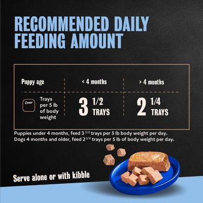 Image showing 8 th Cesar Puppy Chicken and Beef Classic Loaf in Sauce Wet Dog Foo, 3.5 oz.