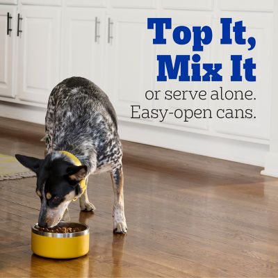 Image showing  Adult Chopped Ground Dinner Filet Mignon Flavor Wet Dog Food, 13.2 oz.