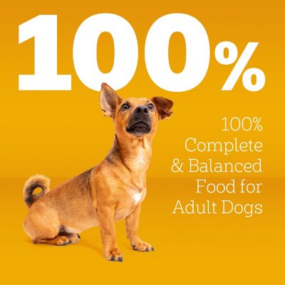 Image showing  Adult Small Breed Roasted Chicken, Rice and Vegetable Flavor Dry Dog Food