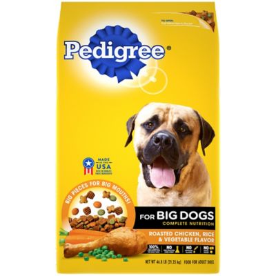 pedigree dog